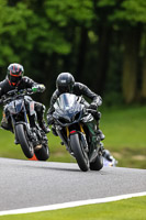 Middle Group Black Bikes